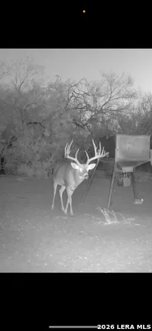 208 WELL PAD RD George West, TX 78022