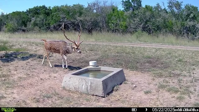 208 WELL PAD RD George West, TX 78022