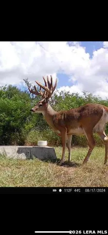 208 WELL PAD RD George West, TX 78022