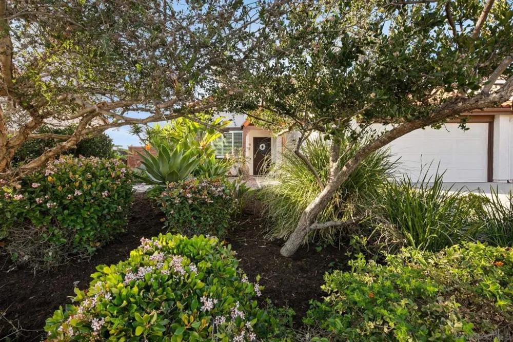 6433 La Paloma St Carlsbad, CA 92009
