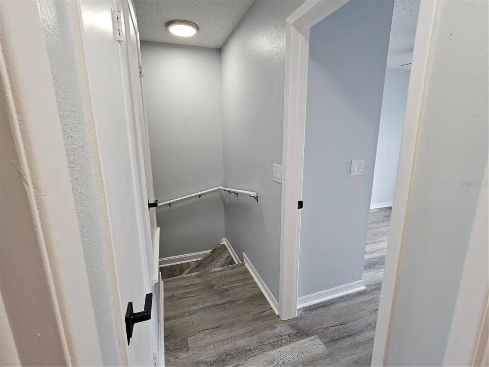 13817 STONE MILL WAY Tampa, FL 33613