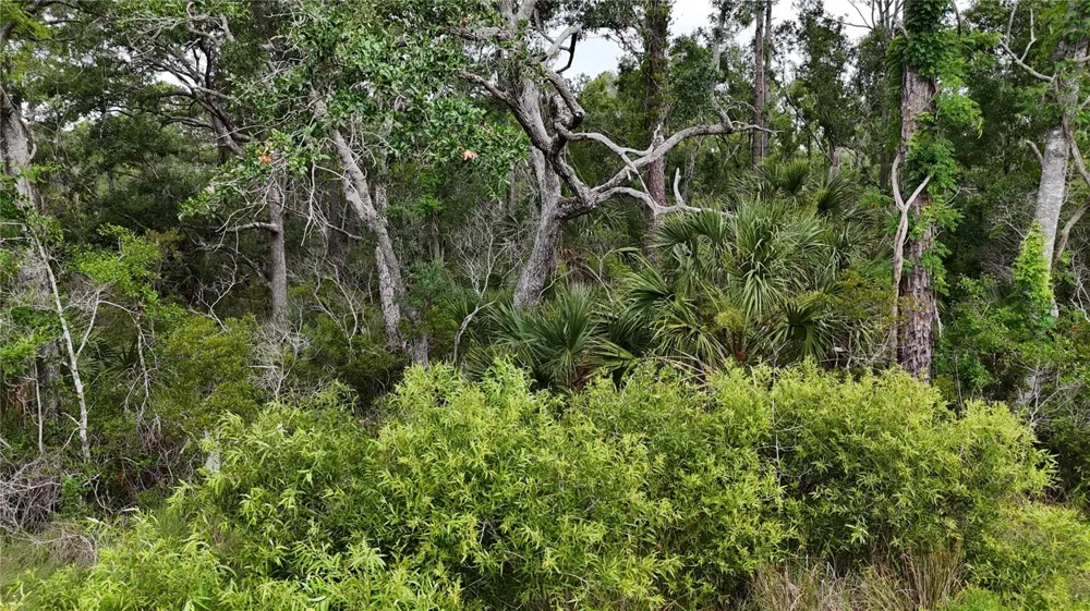 LOTS 10,11,12,13 ADAMS BEACH ROAD Perry, FL 32348