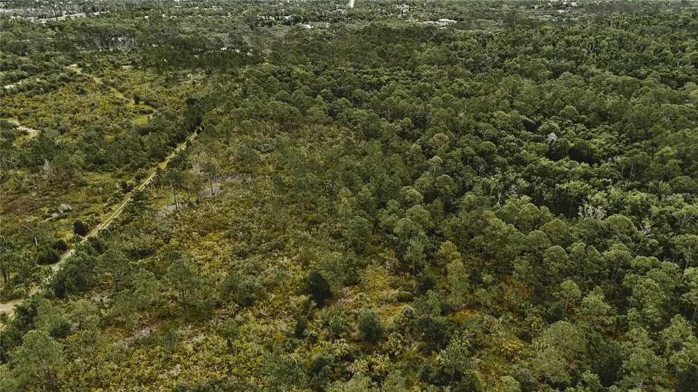 LOTS 10,11,12,13 ADAMS BEACH ROAD Perry, FL 32348