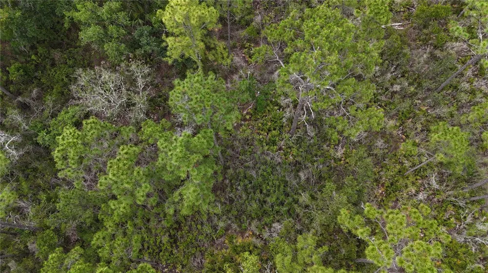 LOTS 10,11,12,13 ADAMS BEACH ROAD Perry, FL 32348