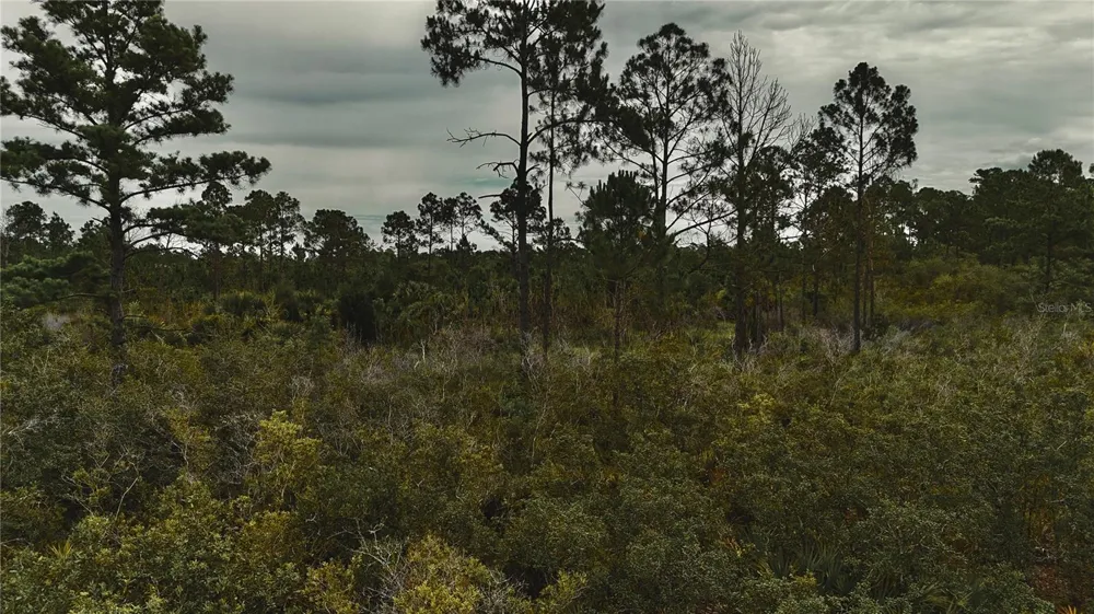 LOTS 10,11,12,13 ADAMS BEACH ROAD Perry, FL 32348