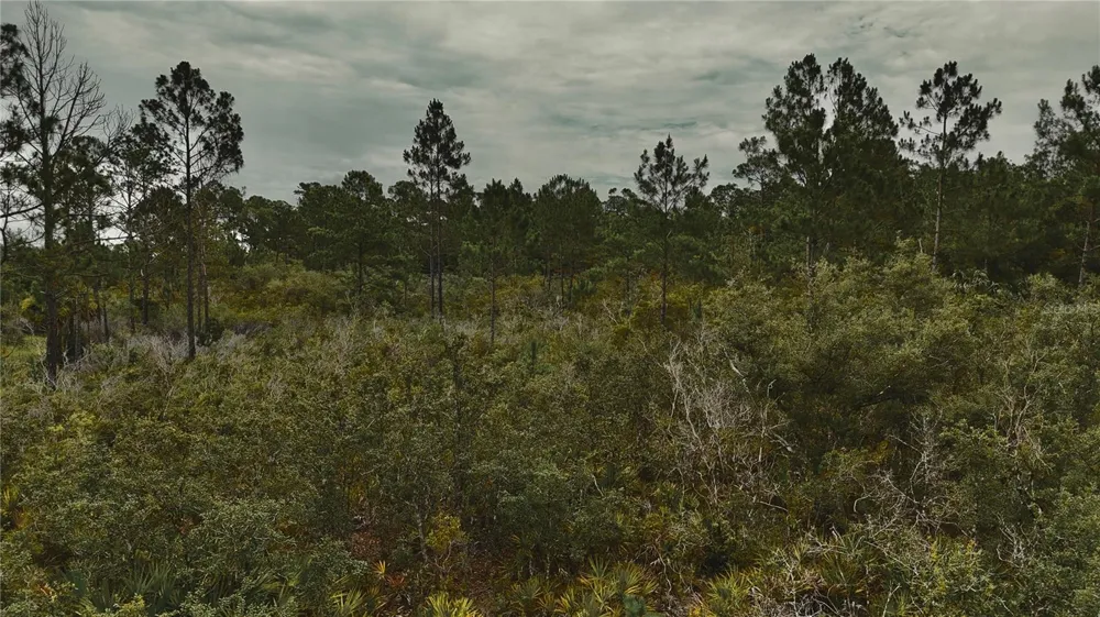 LOTS 10,11,12,13 ADAMS BEACH ROAD Perry, FL 32348