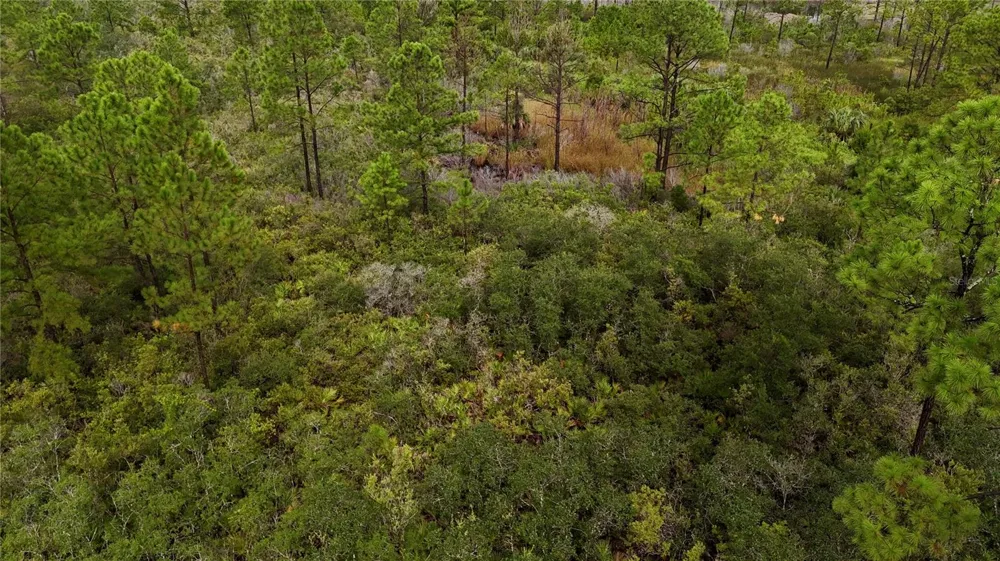 LOTS 8,9,15 00 ADAMS BEACH ROAD Perry, FL 32348