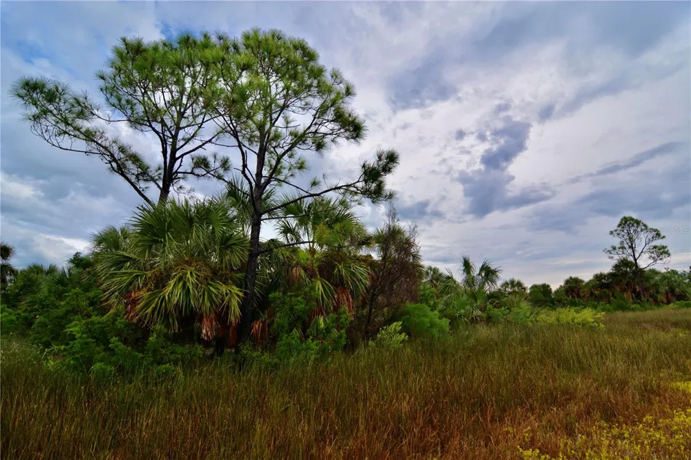 00 LOTS 18,19 ADAMS BEACH ROAD Perry, FL 32348