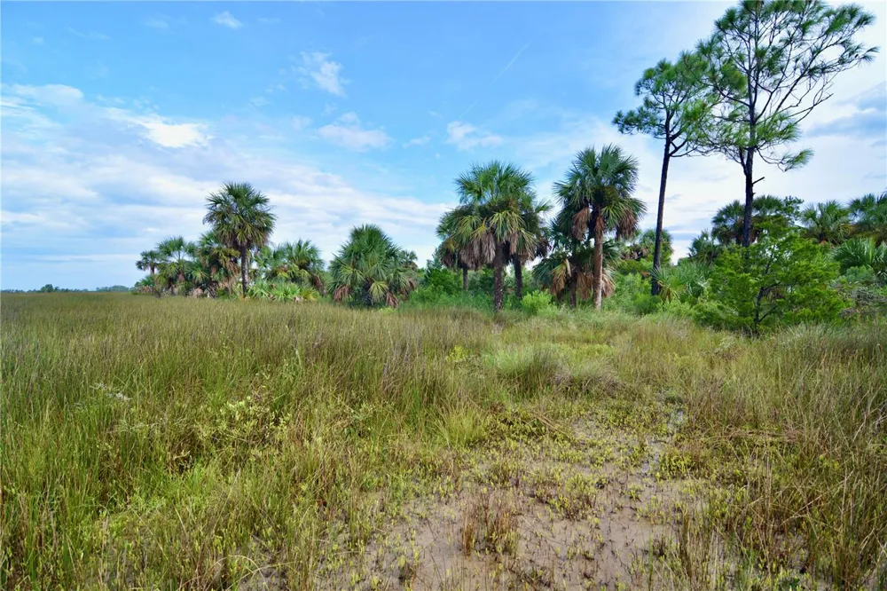 00 LOTS 18,19 ADAMS BEACH ROAD Perry, FL 32348