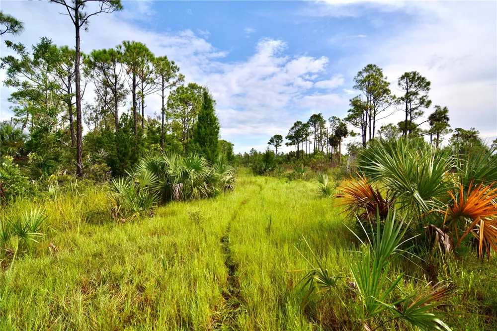 00 LOTS 18,19 ADAMS BEACH ROAD Perry, FL 32348