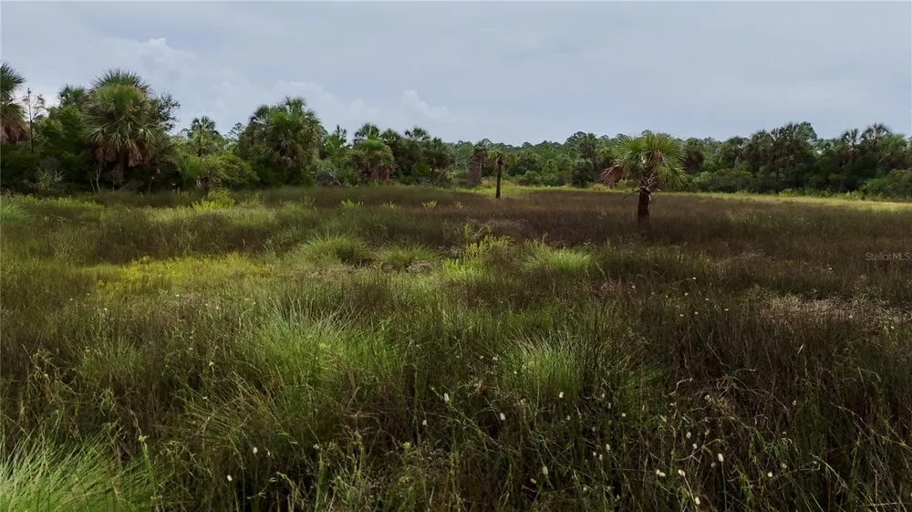 00 LOTS 18,19 ADAMS BEACH ROAD Perry, FL 32348