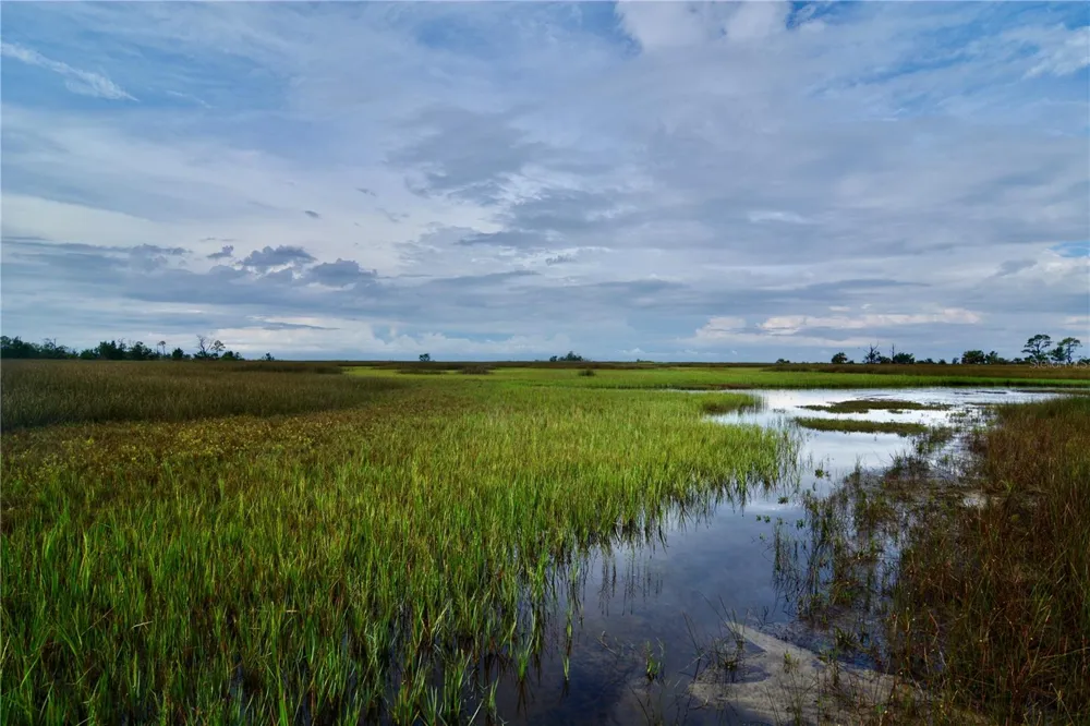 00 LOTS 18,19 ADAMS BEACH ROAD Perry, FL 32348