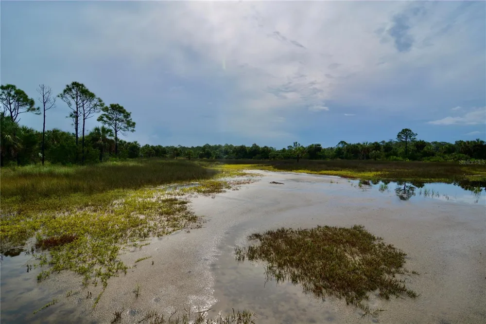 00 LOTS 18,19 ADAMS BEACH ROAD Perry, FL 32348