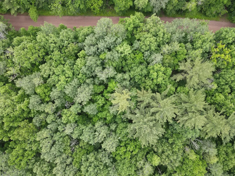LOT 5 Wilderness Retreat Pine City, MN 55063