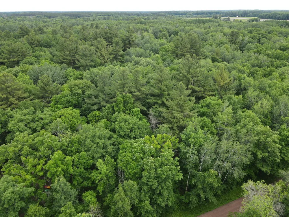 LOT 5 Wilderness Retreat Pine City, MN 55063