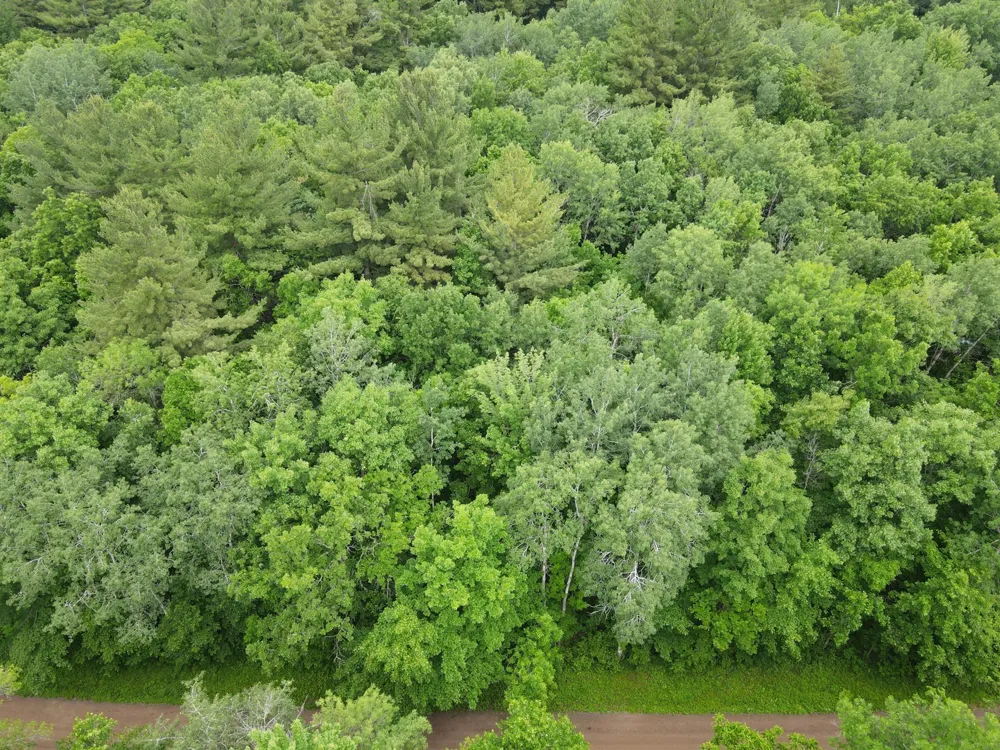 LOT 5 Wilderness Retreat Pine City, MN 55063