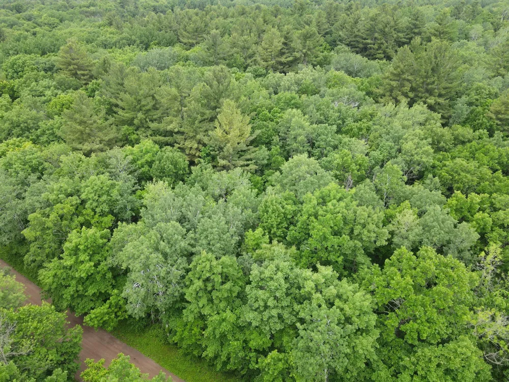 LOT 5 Wilderness Retreat Pine City, MN 55063