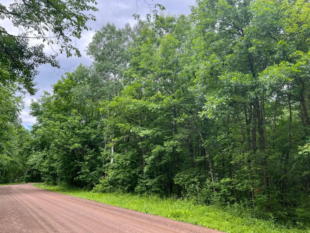 LOT 5 Wilderness Retreat Pine City, MN 55063