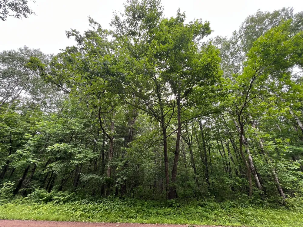 LOT 5 Wilderness Retreat Pine City, MN 55063