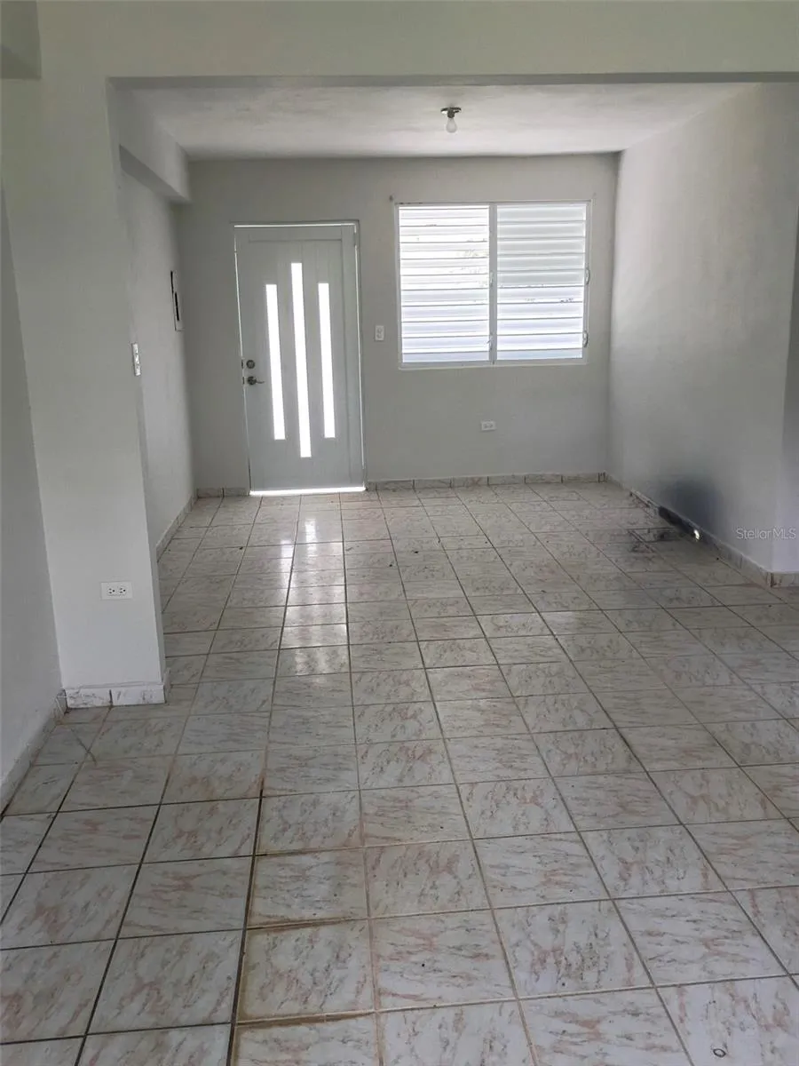 156 BO. BAYAMONCITO Aguas Buenas, PR 00703