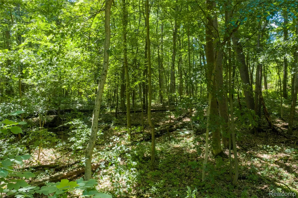 10069 Silver Lake Road Argentine Township, MI 48451