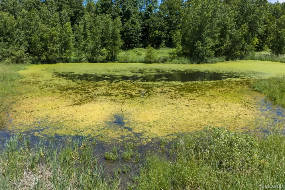 10069 Silver Lake Road Argentine Township, MI 48451