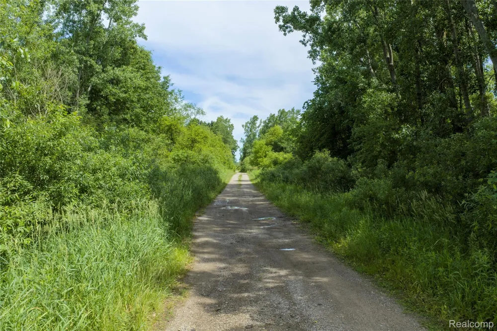 10069 Silver Lake Road Argentine Township, MI 48451
