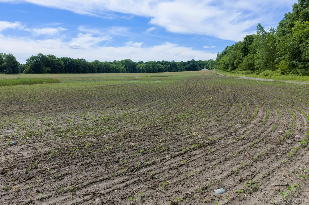 10069 Silver Lake Road Argentine Township, MI 48451