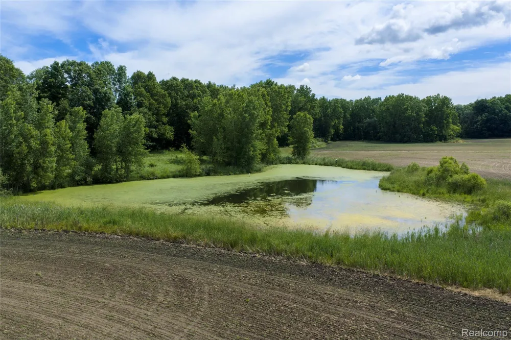 10069 Silver Lake Road Argentine Township, MI 48451