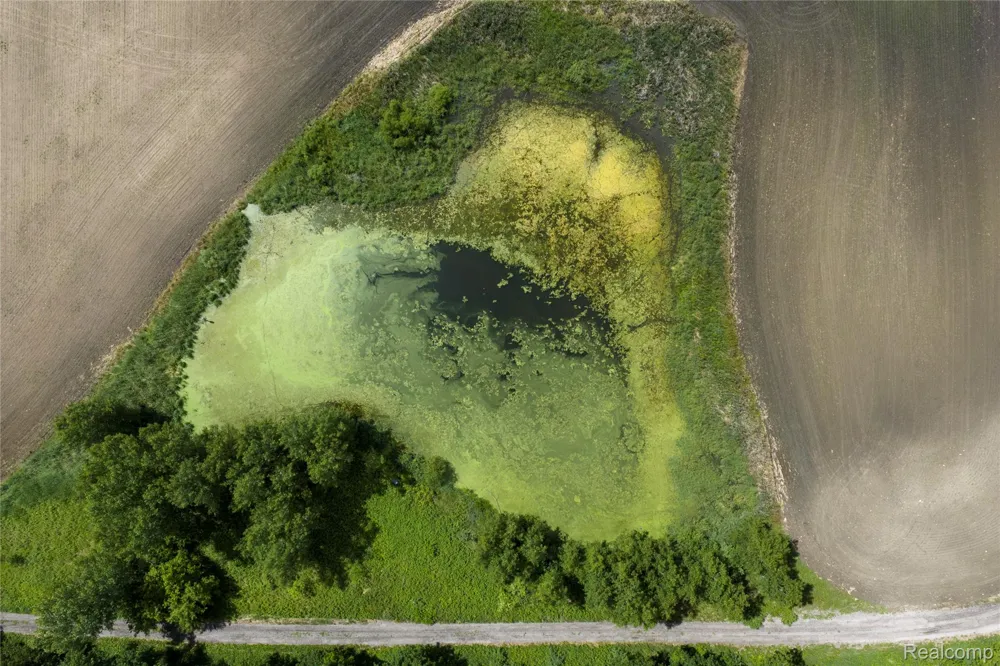 10069 Silver Lake Road Argentine Township, MI 48451