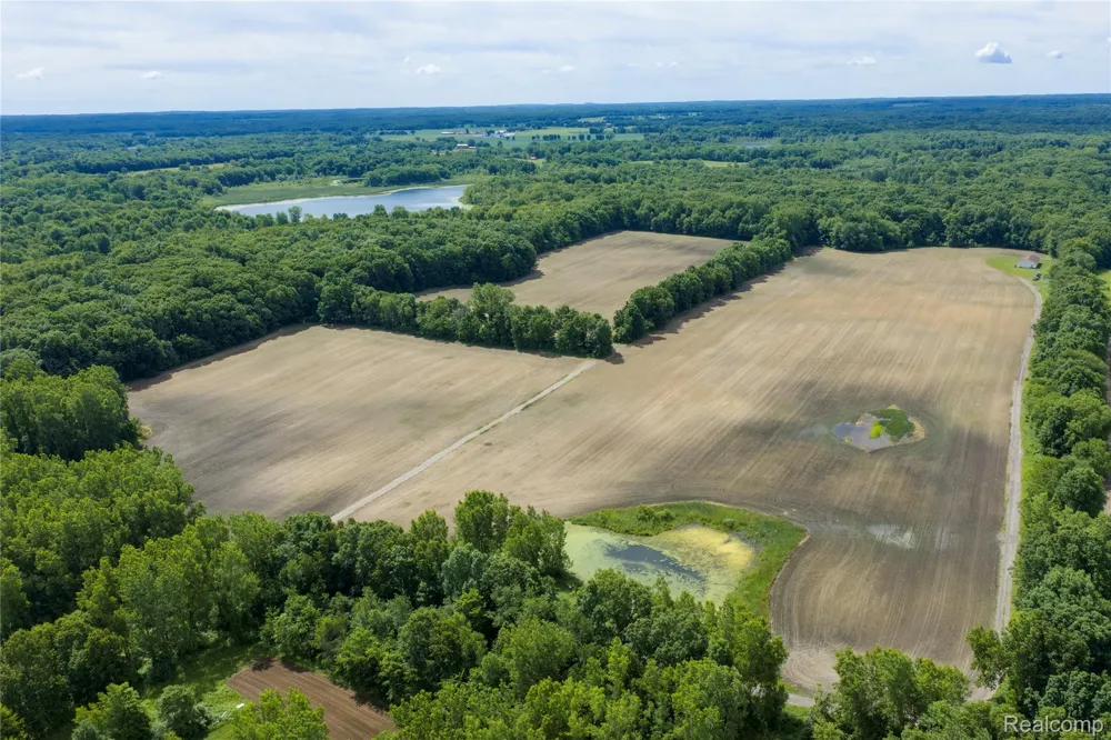 10069 Silver Lake Road Argentine Township, MI 48451