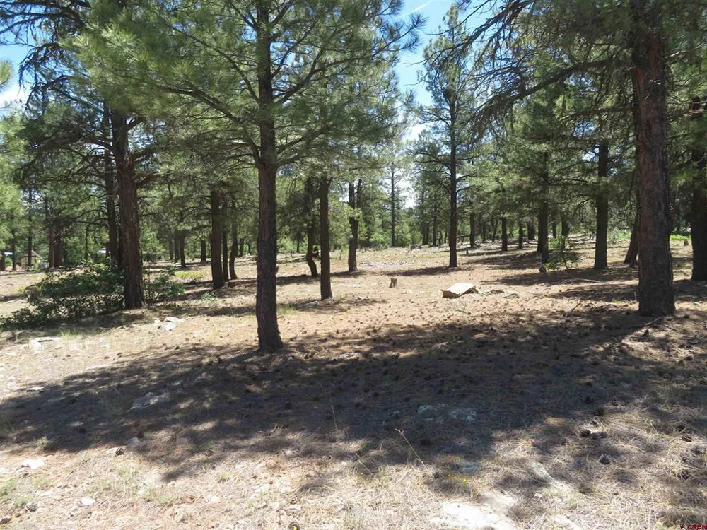 500 Coronado Circle Pagosa Springs, CO 81147