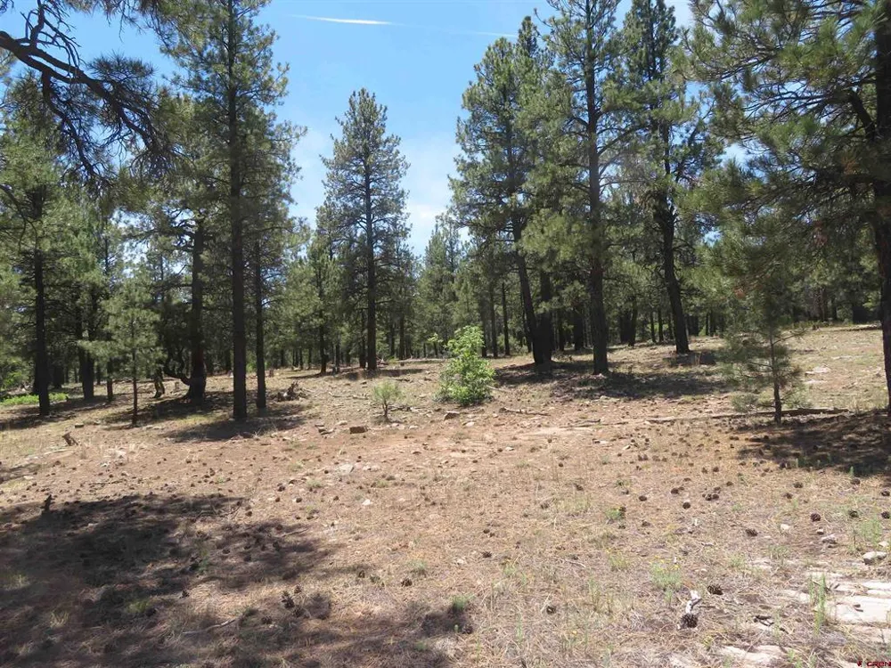 500 Coronado Circle Pagosa Springs, CO 81147