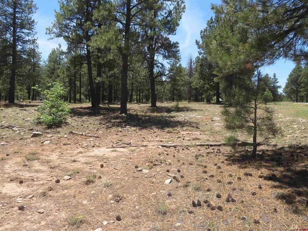500 Coronado Circle Pagosa Springs, CO 81147
