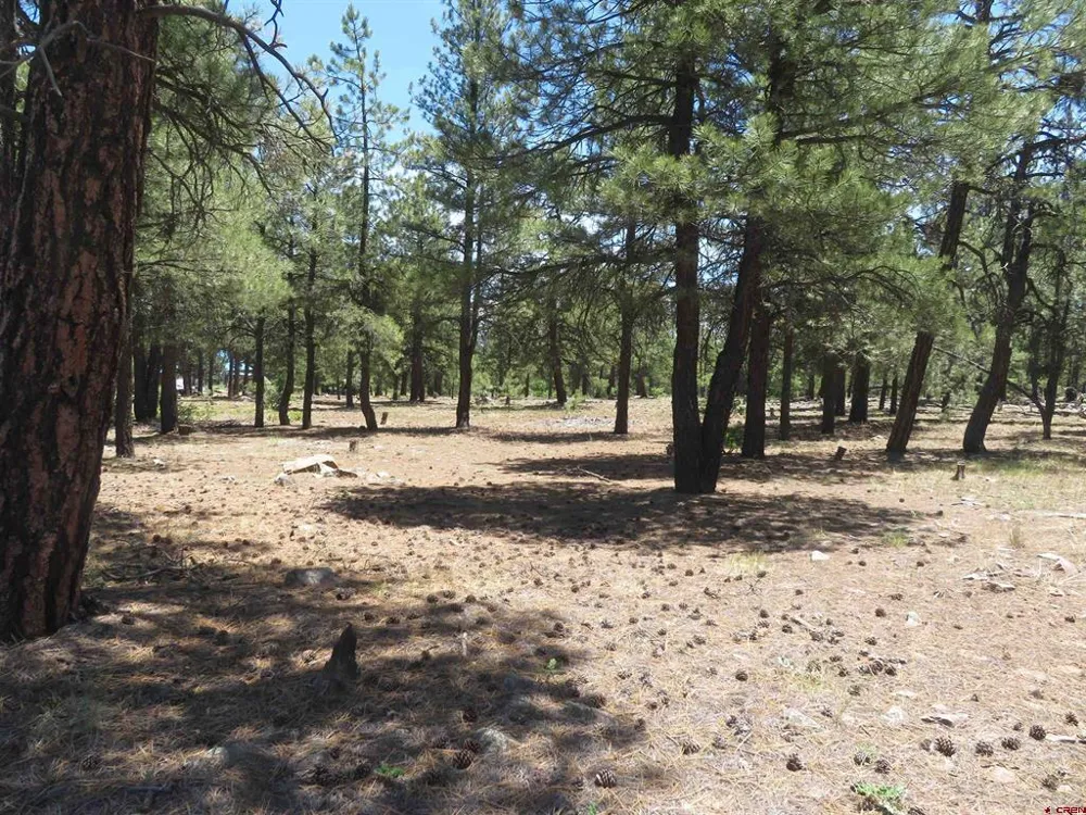 500 Coronado Circle Pagosa Springs, CO 81147