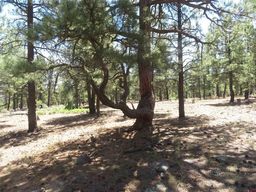 500 Coronado Circle Pagosa Springs, CO 81147