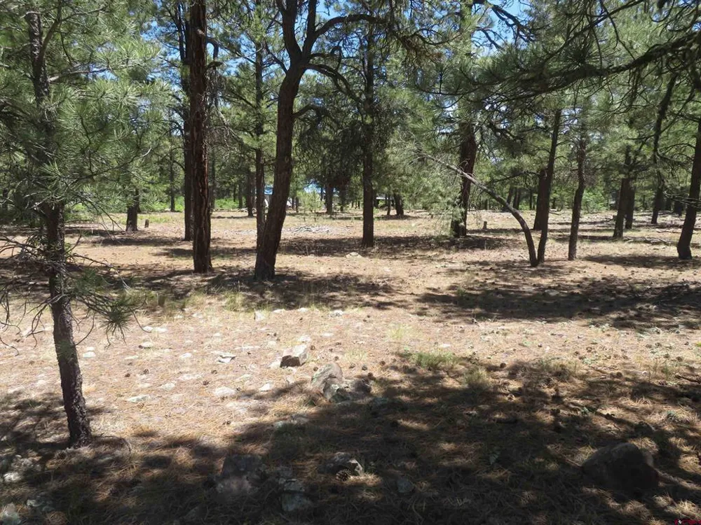 500 Coronado Circle Pagosa Springs, CO 81147