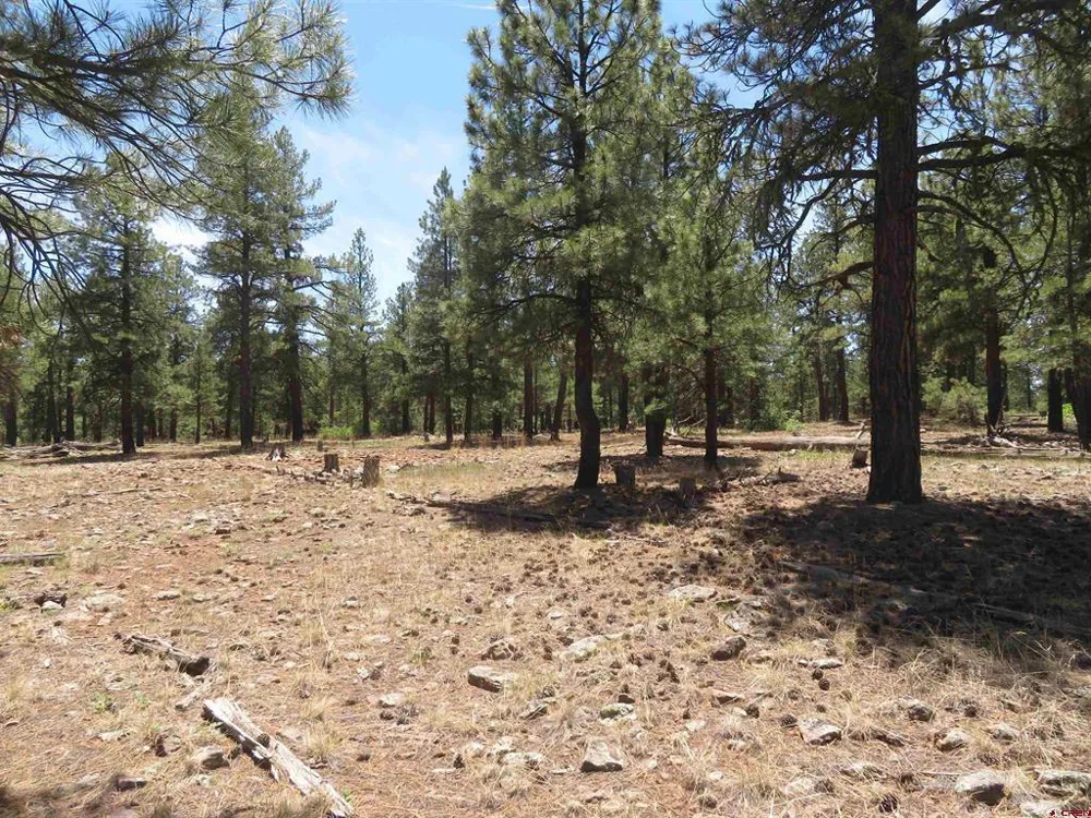 500 Coronado Circle Pagosa Springs, CO 81147