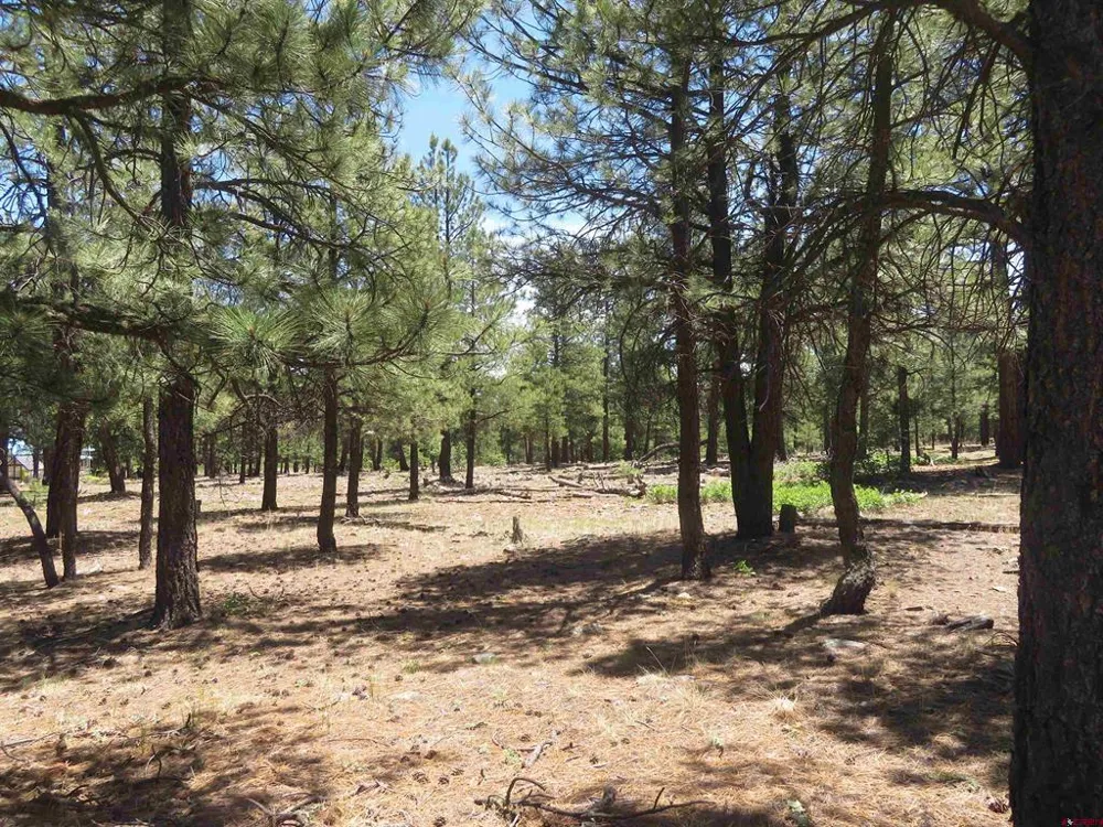 500 Coronado Circle Pagosa Springs, CO 81147
