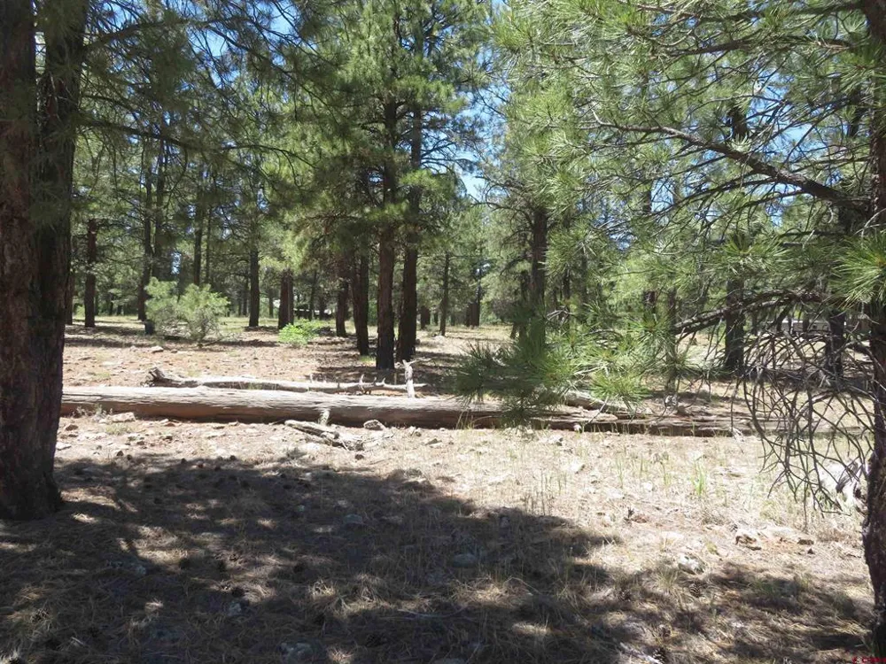 500 Coronado Circle Pagosa Springs, CO 81147