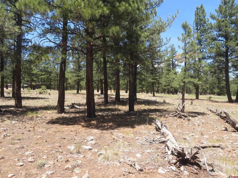 500 Coronado Circle Pagosa Springs, CO 81147