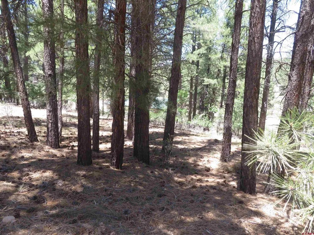500 Coronado Circle Pagosa Springs, CO 81147