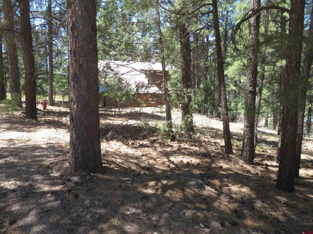 500 Coronado Circle Pagosa Springs, CO 81147