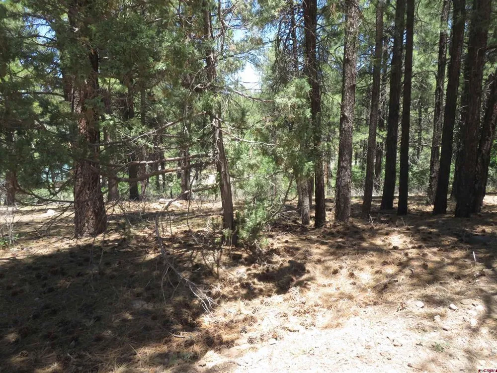 500 Coronado Circle Pagosa Springs, CO 81147
