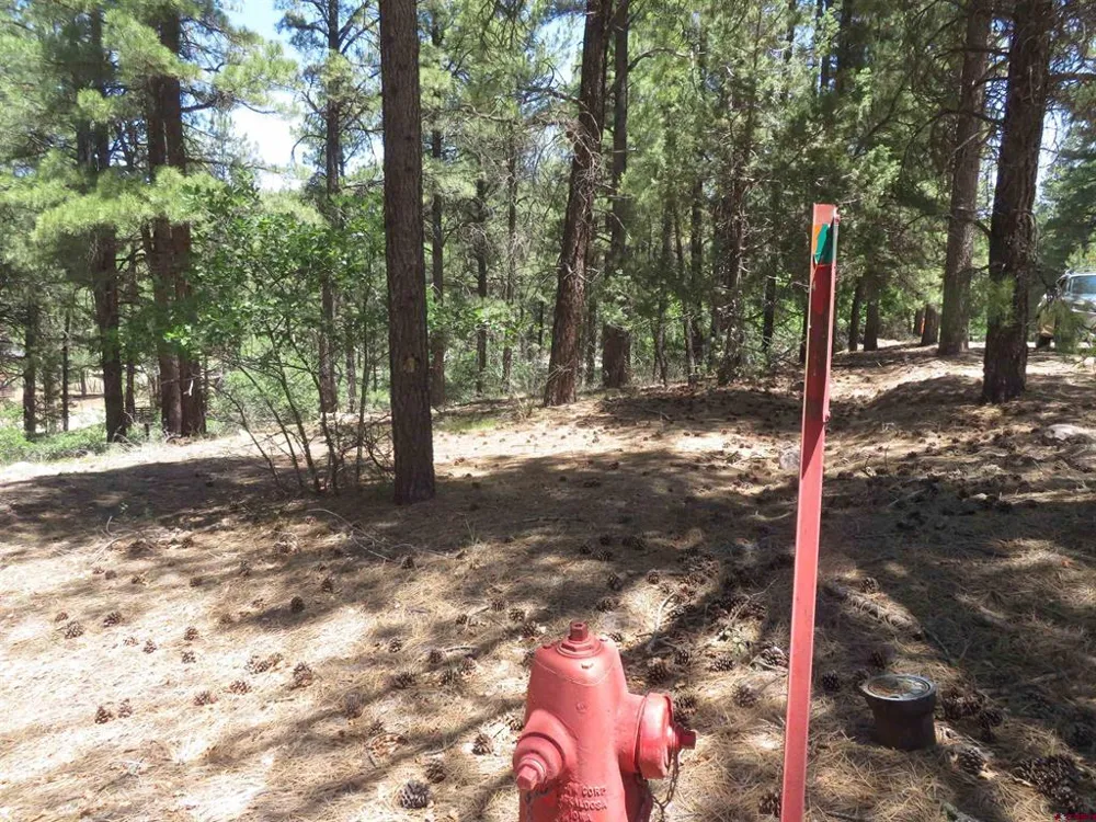 500 Coronado Circle Pagosa Springs, CO 81147