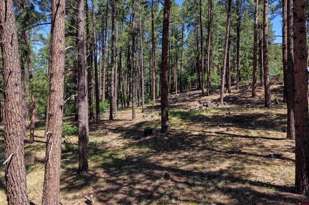 79 Spruce Way Bayfield, CO 81122