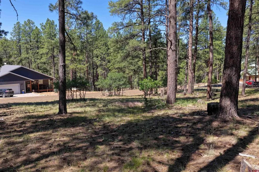 79 Spruce Way Bayfield, CO 81122