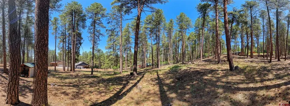 79 Spruce Way Bayfield, CO 81122