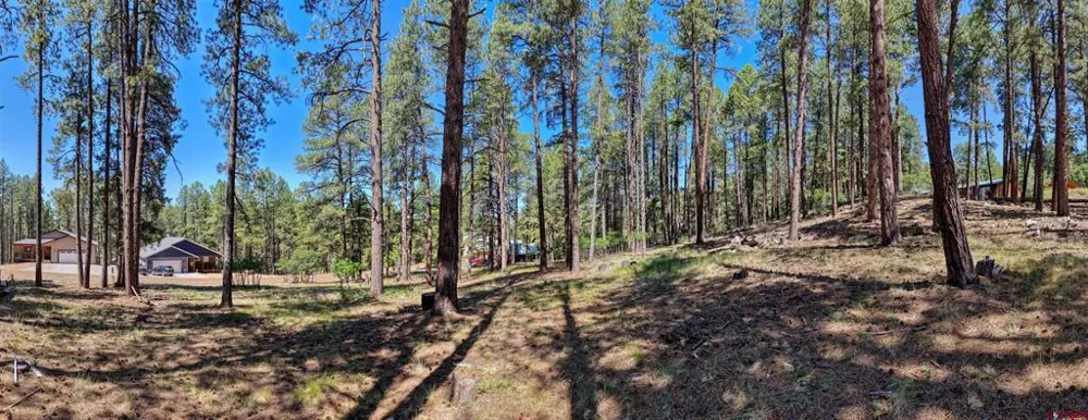 79 Spruce Way Bayfield, CO 81122