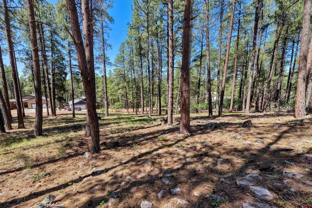 79 Spruce Way Bayfield, CO 81122